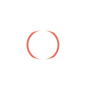 Secure monitoring system